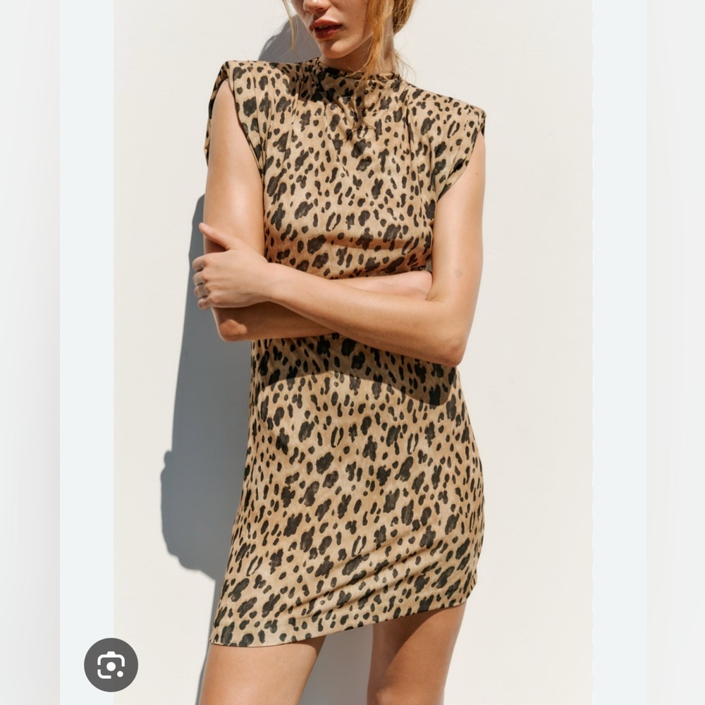 Leopard Print Dress